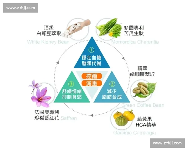 体育心理健康促进路径与青少年竞技表现提升协同发展研究机制探索